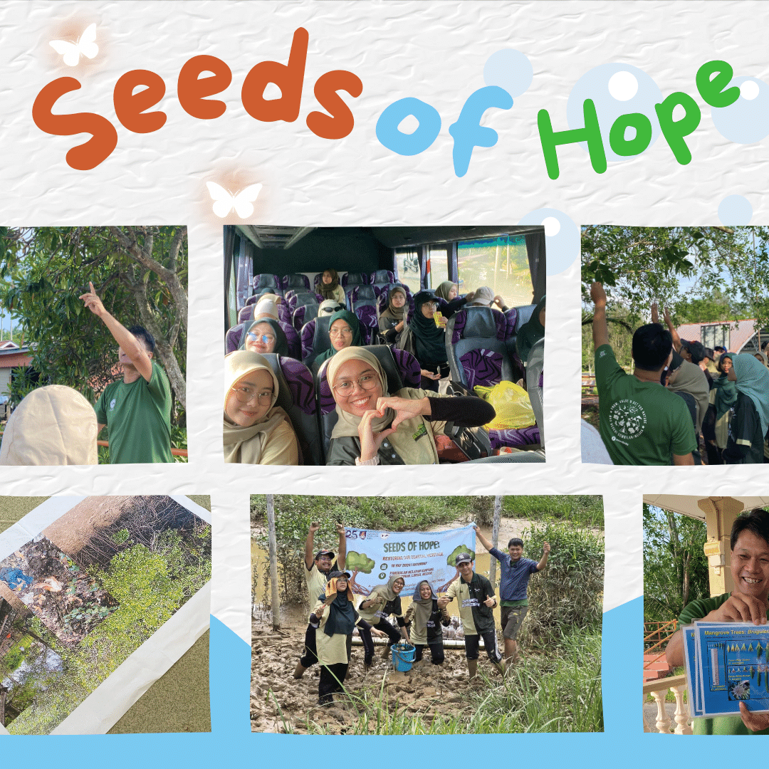 bevauitms3's tweet photo. SEEDS OF HOPE: RESTORING OUR COASTAL HERITAGE anjuran bersama @malaysiannaturesociety https://t.co/b9Dr2HmJk5