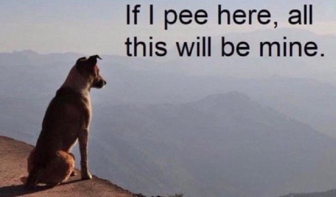 .