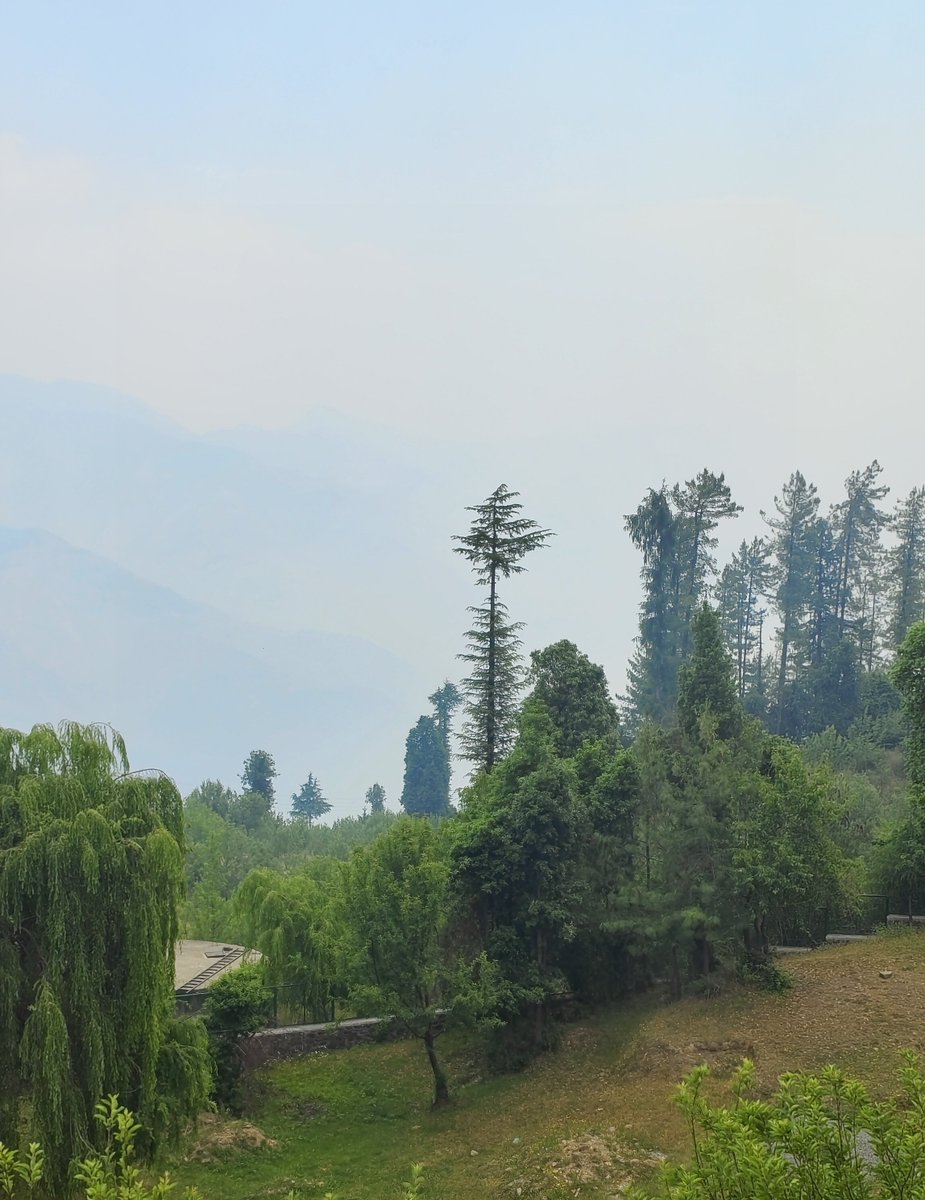 Can't even tell the clouds and smoke apart today. Barely visible horizon and landscape. Strong smell in the air too for the first time hinting at the fire somewhere below. Rain is the only solution. #HimachalPradesh #forestfire