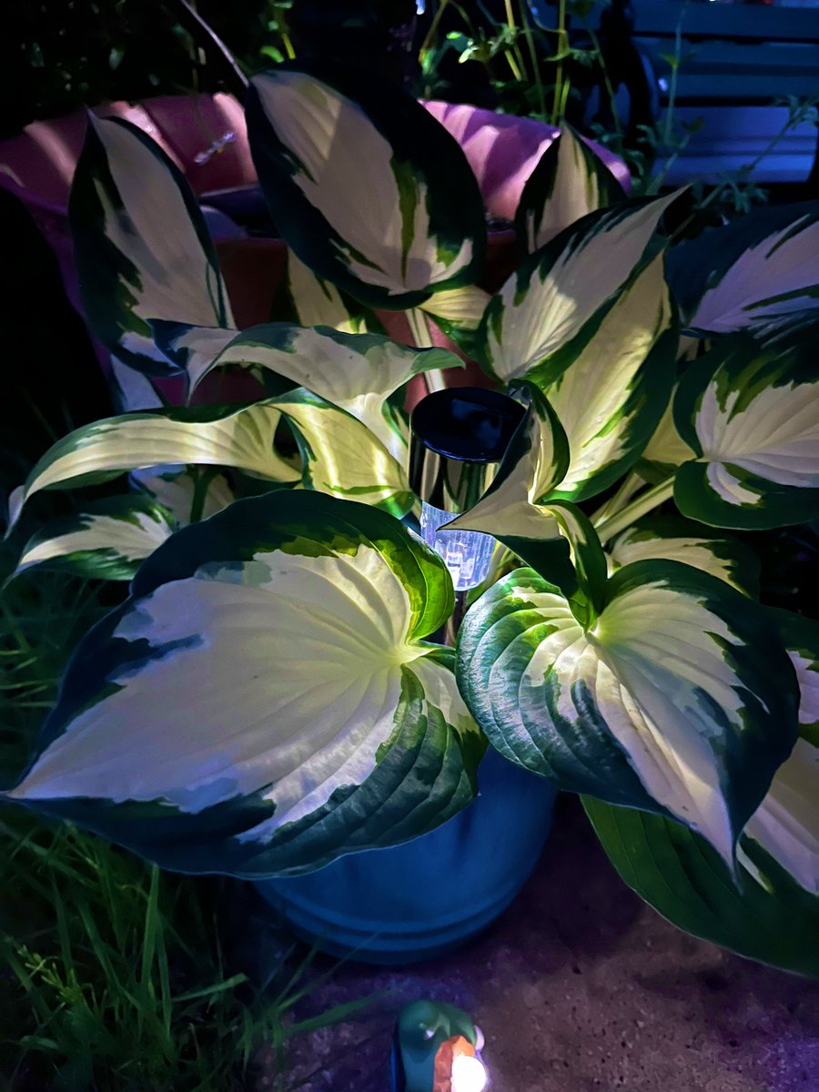 A day of pottering in my shed.