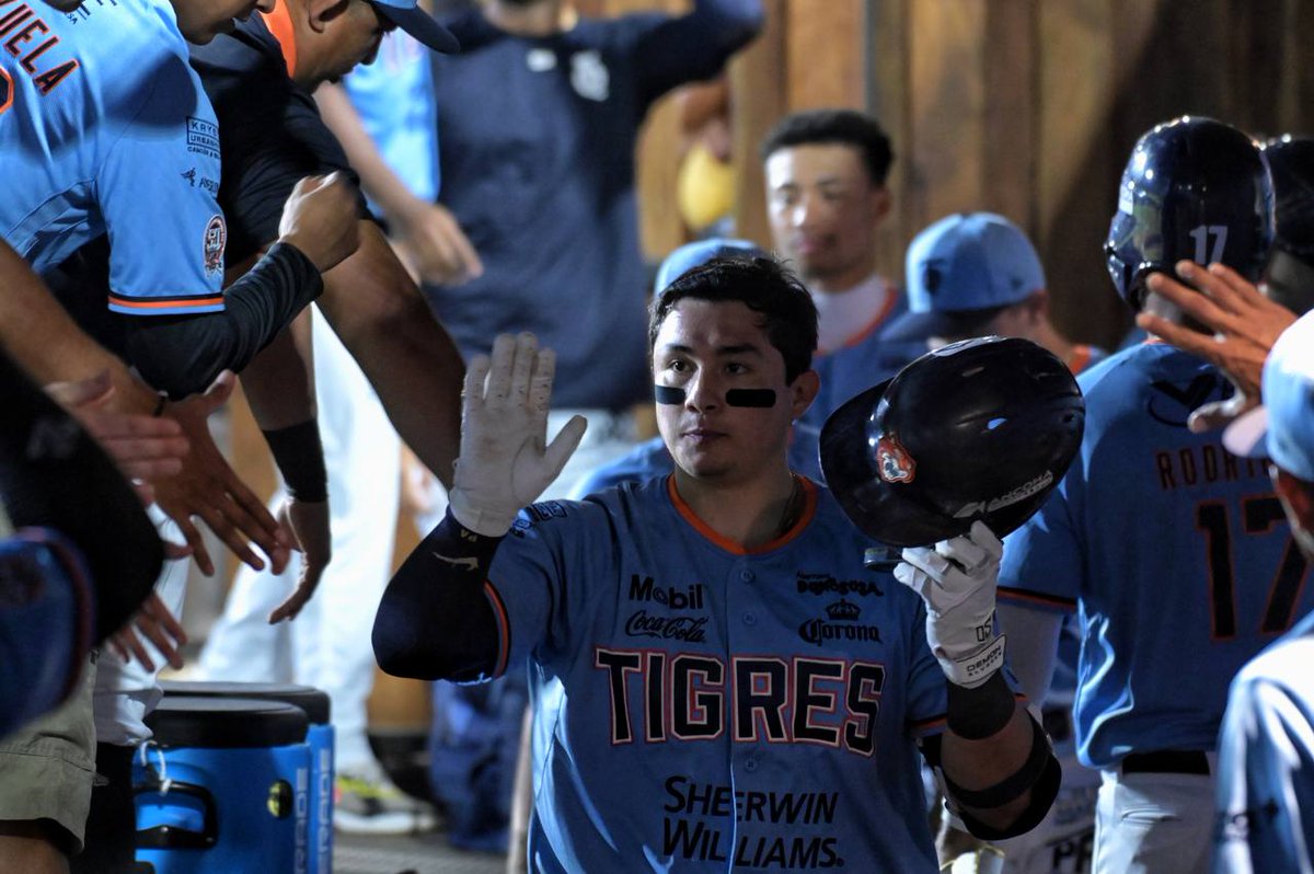 Tigres de Quintana Roo 🐯 tweet media