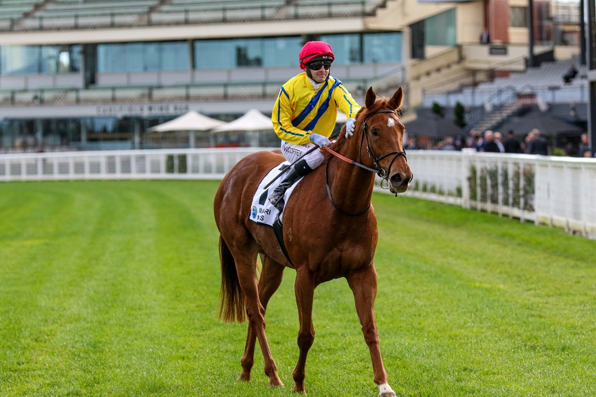 A nice start to the quaddie if you had La Danseuse Rouge in your numbers. @HTCoffey combined with the Manhattan Rain mare to nab the Manhari Metals Handicap in slick time for Cliff Brown.