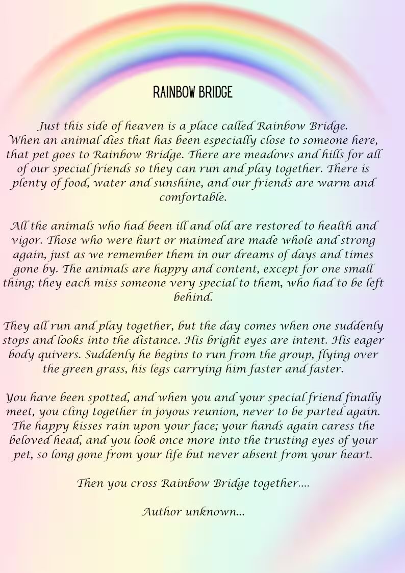 She crosses the Rainbow Bridge 💔