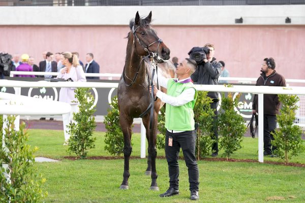 Why Worry (ex Dragons Luck) with a super win first up <a href="/MelbRacingClub/">Melbourne Racing Club</a> Caulfield today. A big congratulations and thanks to his owner Mr Chan and <a href="/DJWhyteTrainer/">DouglasWhyte</a> for the opportunity to continue his racing career after showing so much promise in Hong Kong.