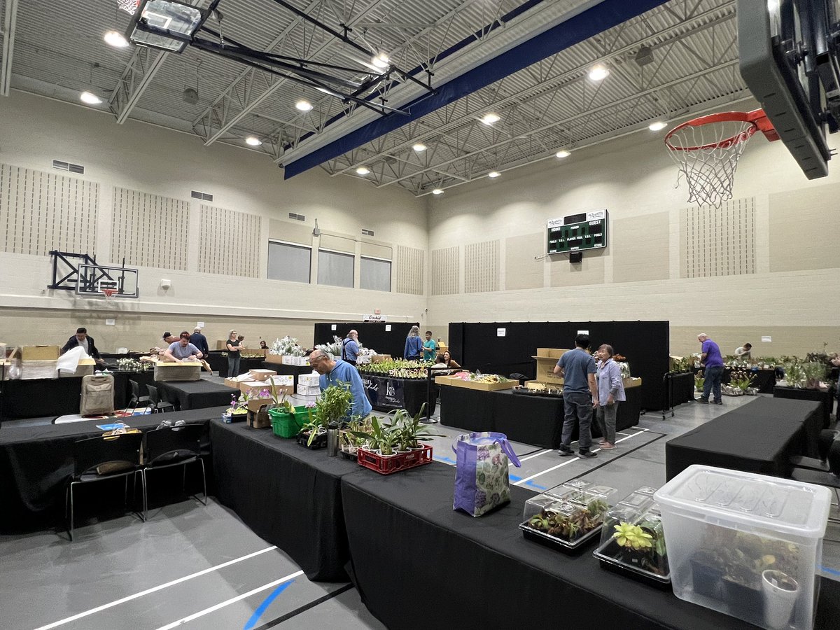FoothillsOrchid's tweet photo. Setup day for the Calgary Orchid Show and Sale, https://t.co/CZdY079O0g.  The doors open tomorrow at noon https://t.co/b0DSifqRYG