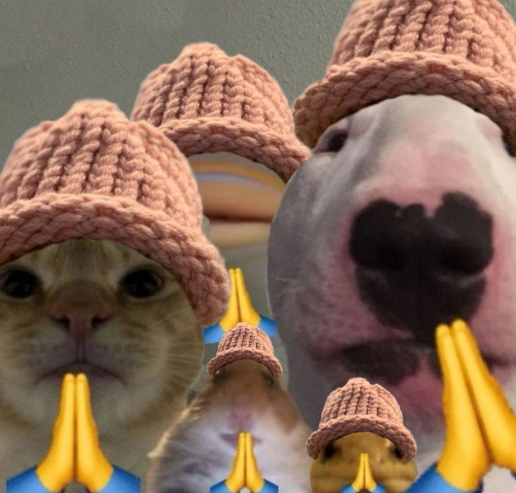 WEW ON SOL (@wewonsol) on Twitter photo 