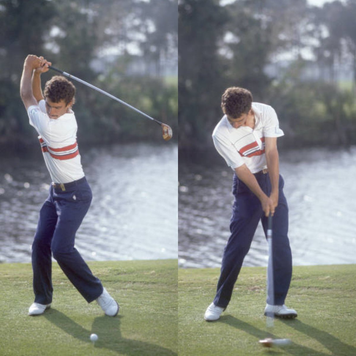 Andrew Rice tweet media