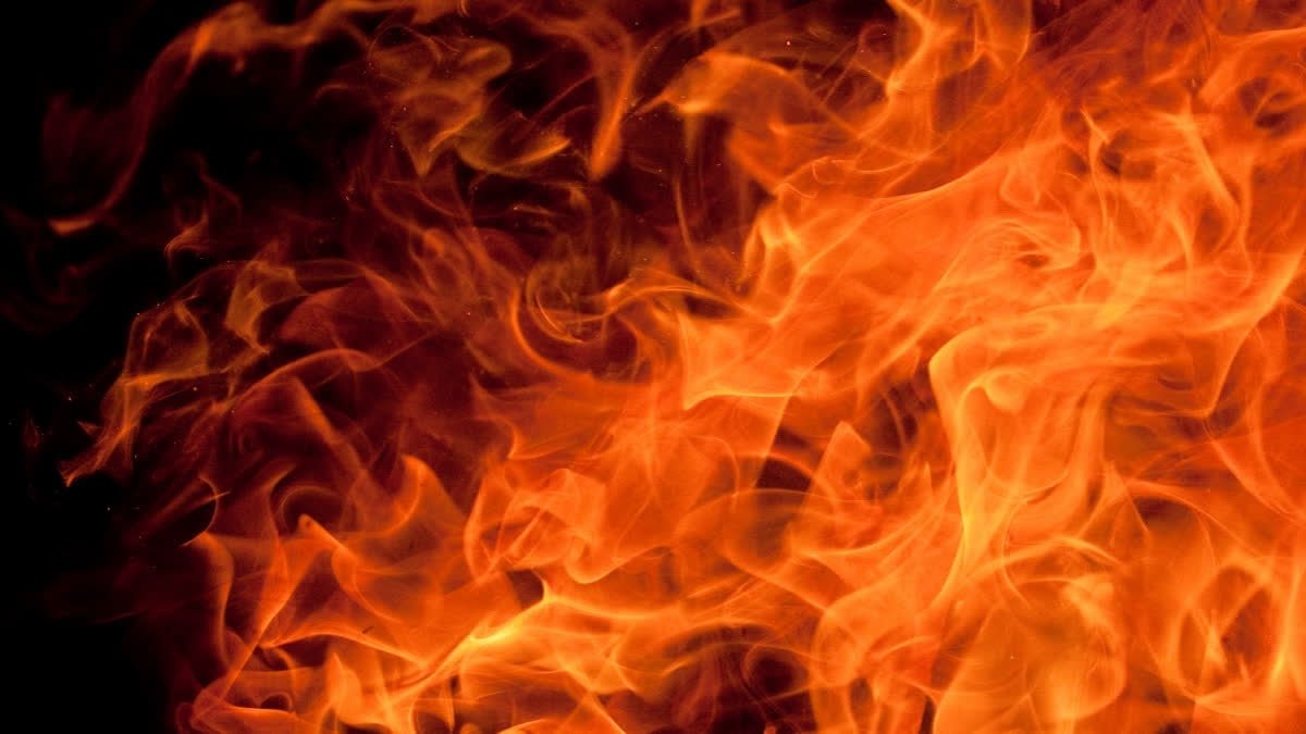 Fire Breaks Out At Dingu Forest Of Himachal's Bilaspur in the early hours of Saturday, officials said. The exact reason for the fire could not be ascertained yet. Further information is awaited #bilaspur #himachalpradesh #forestfire