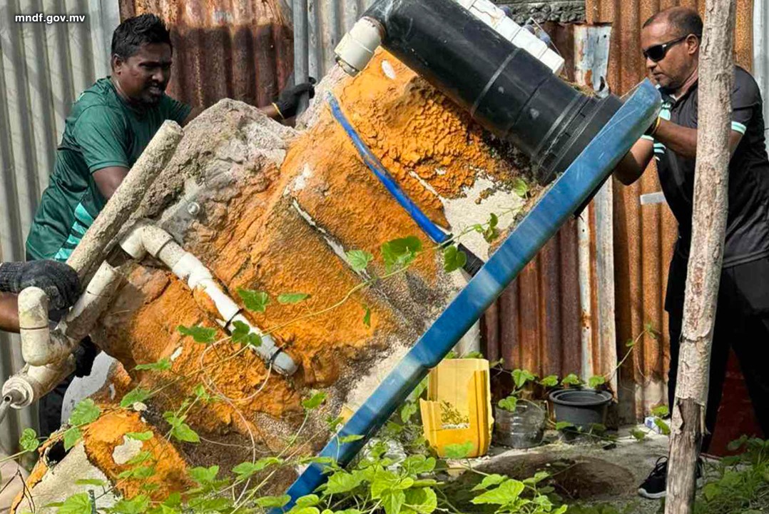 ޅ.އަތޮޅު ކައުންސިލާއި ޅ.އަތޮޅު ހޮސްޕިޓަލް ގުޅިގެން ޅ.ނައިފަރުގައި "މަދިރިއުފެދޭ ތަންތަން ސާފުކޮށް ނައްތާލުމުގެ ޕްރޮގްރާމް" ގައި އެމްއެންޑީއެފް ނޮދަން އޭރިއާ ކޮމާންޑް، ޅ.ނައިފަރު ފަޔަރ ސްޓޭޝަނުން ބައިވެރިވެއްޖެ.
mndf.gov.mv/mndf/en/news-a…