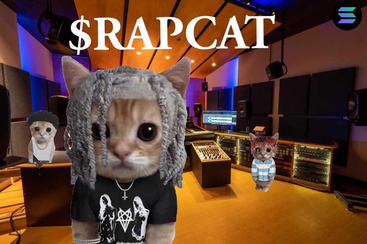 Jorlped_OG's tweet photo. @jakefromweb3 Then make sure you aren't fading $Rapcat the first rapping cat 👀

@RAPCATCTO https://t.co/qqd3djfkz7