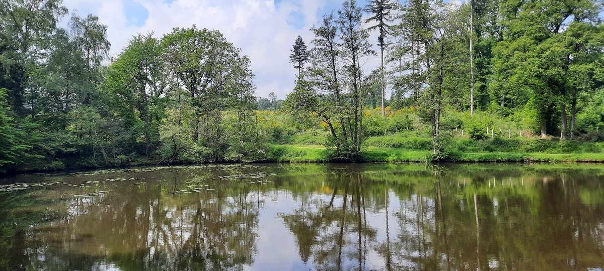 Wenn euch Twitter zu ätzend wird. Geht raus. Lauft euch den Stress aus den Füßen. Lasst die Natur auf euch wirken. Friedliche #Pfingsten.