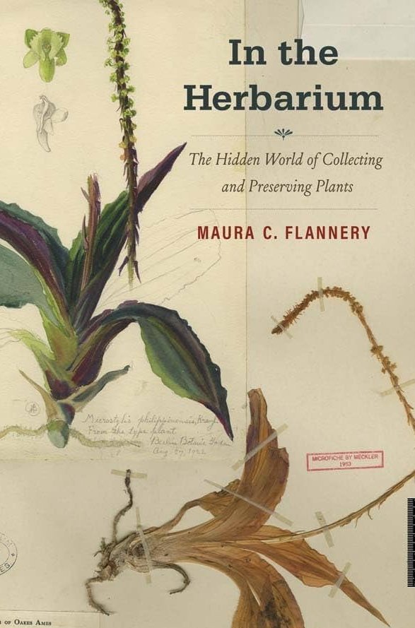 Congratulations to @flannerm for an Excellence in #Botany award from @CBHLTweets for her wonderful #monograph - IN THE #HERBARIUM yalebooks.co.uk/book/978030027… @KewScience @Kew_LAA @RHGeoHumanities