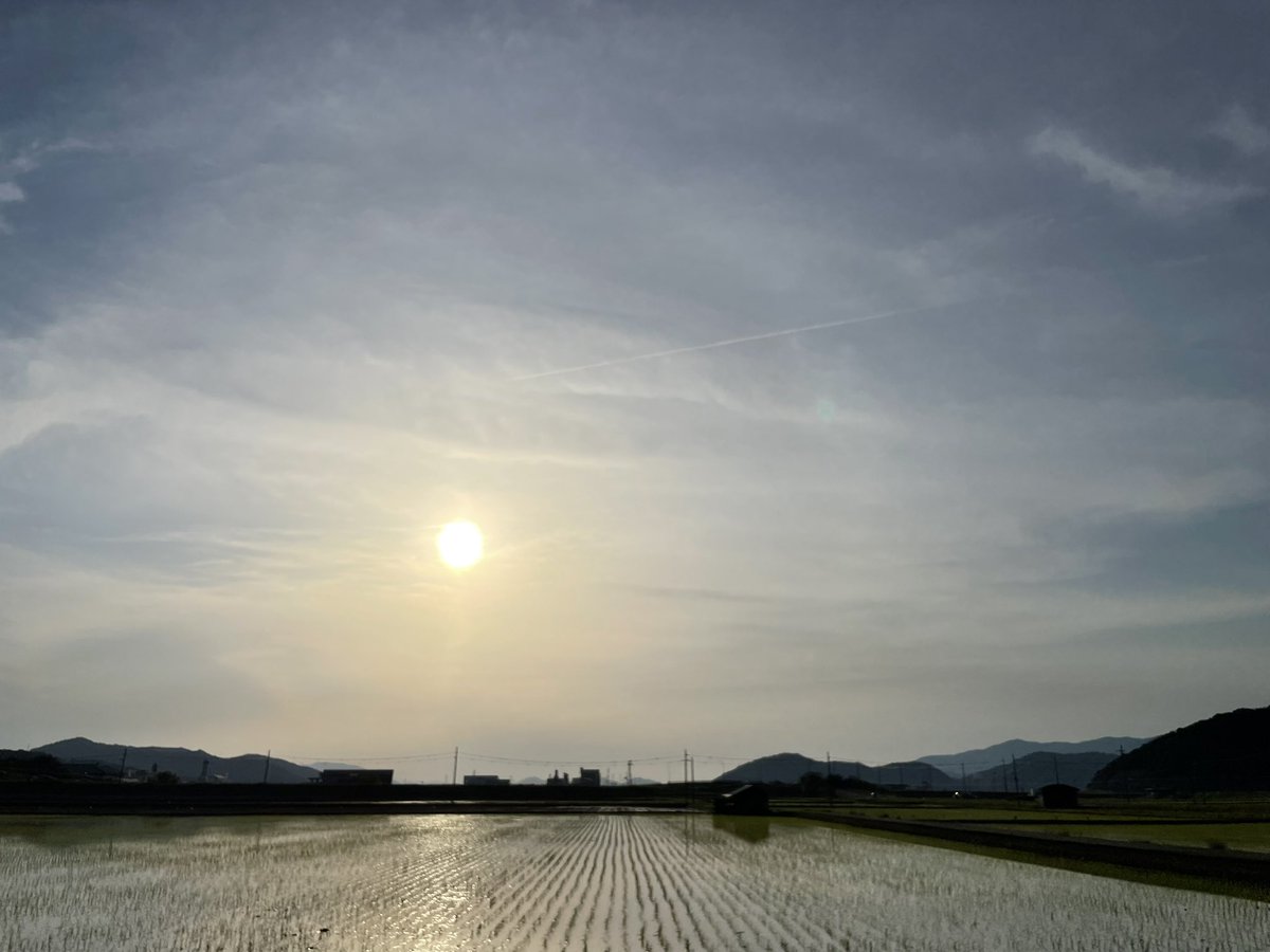 おつかれさま(∩ˊᵕˋ∩)･*

色んな空があるように☁️🫧
色んな好きがあっていいと思う(*ˊ˘ˋ*)

#空
#空が好き
#空がある風景
#スマホ写真
#繋がりたい
#コラボ