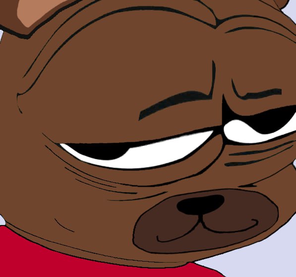 BoboCapital_LLP's tweet image. No $Bobo?