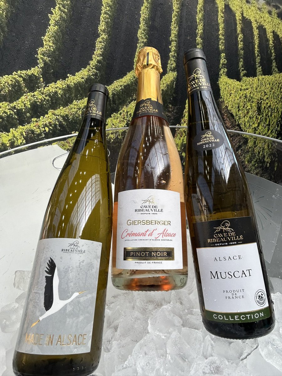 DavidJaegle's tweet photo. 2024’s London Wine Fair, of course Alsace premium wines of Cave de Ribeauvillé as exhibitor will be enjoyed.
Come and taste north G45.
Cheers 🥂 @VigneronsFrance https://t.co/aEmVpNYmve