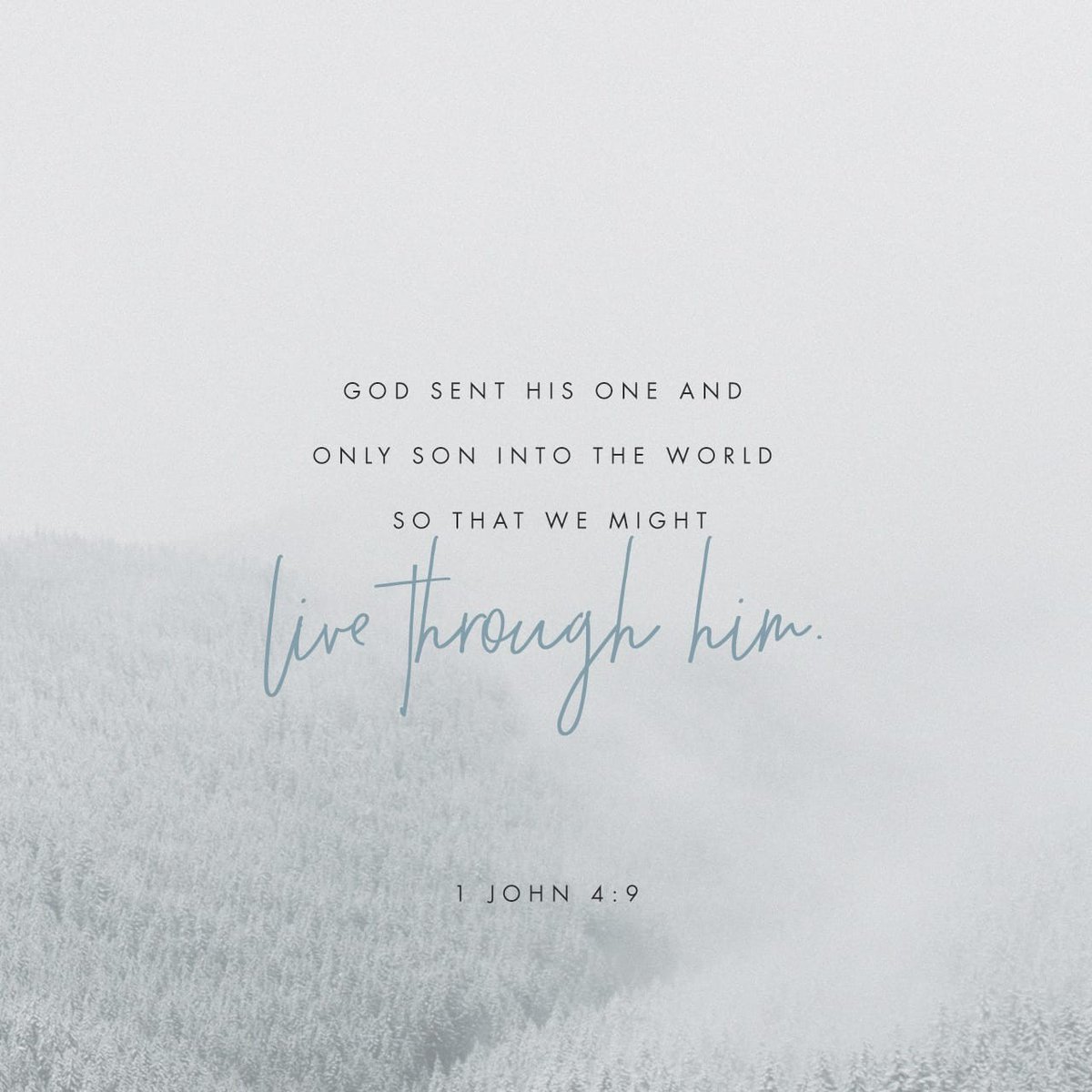 1 John 4:9 NASB By this the love of God was manifested in us, that God has sent His only begotten Son into the world so that we might live through Him. #dailybread #dailyverse #scripture #bibleverse #bible #jesus