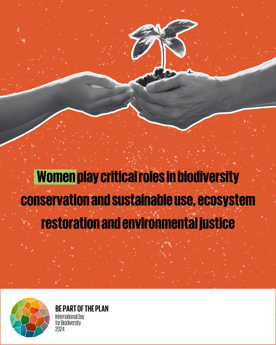 🌐The #BiodiversityPlan recognizes that successful implementation will depend on ensuring gender equality and empowerment of women and girls, and on reducing inequalities. Gender equality is #PartOfThePlan #biodiversityday @unbiodiversity