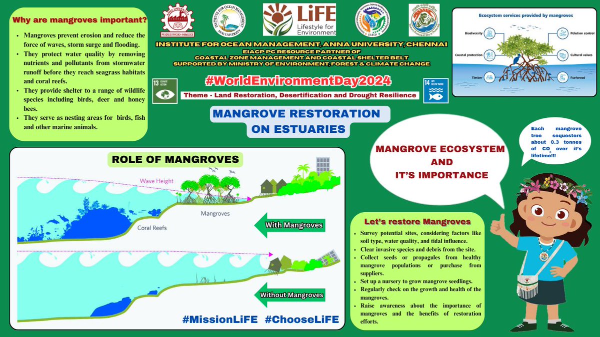 On the series of celebrating 'World Environment Day 2024', IOM EIACP PC RP is releasing an infographics on 'Mangrove Restoration on Estuaries'.

#worldenvironmentday #worldenvironmentday2024  #mangroves #mangroverestoration #missionlife #chooselife #annauniversity