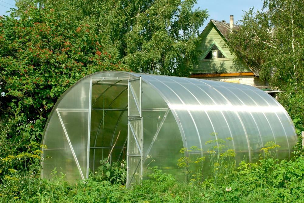 Gardening 101: How to Build A Greenhouse dlvr.it/T77PXY
