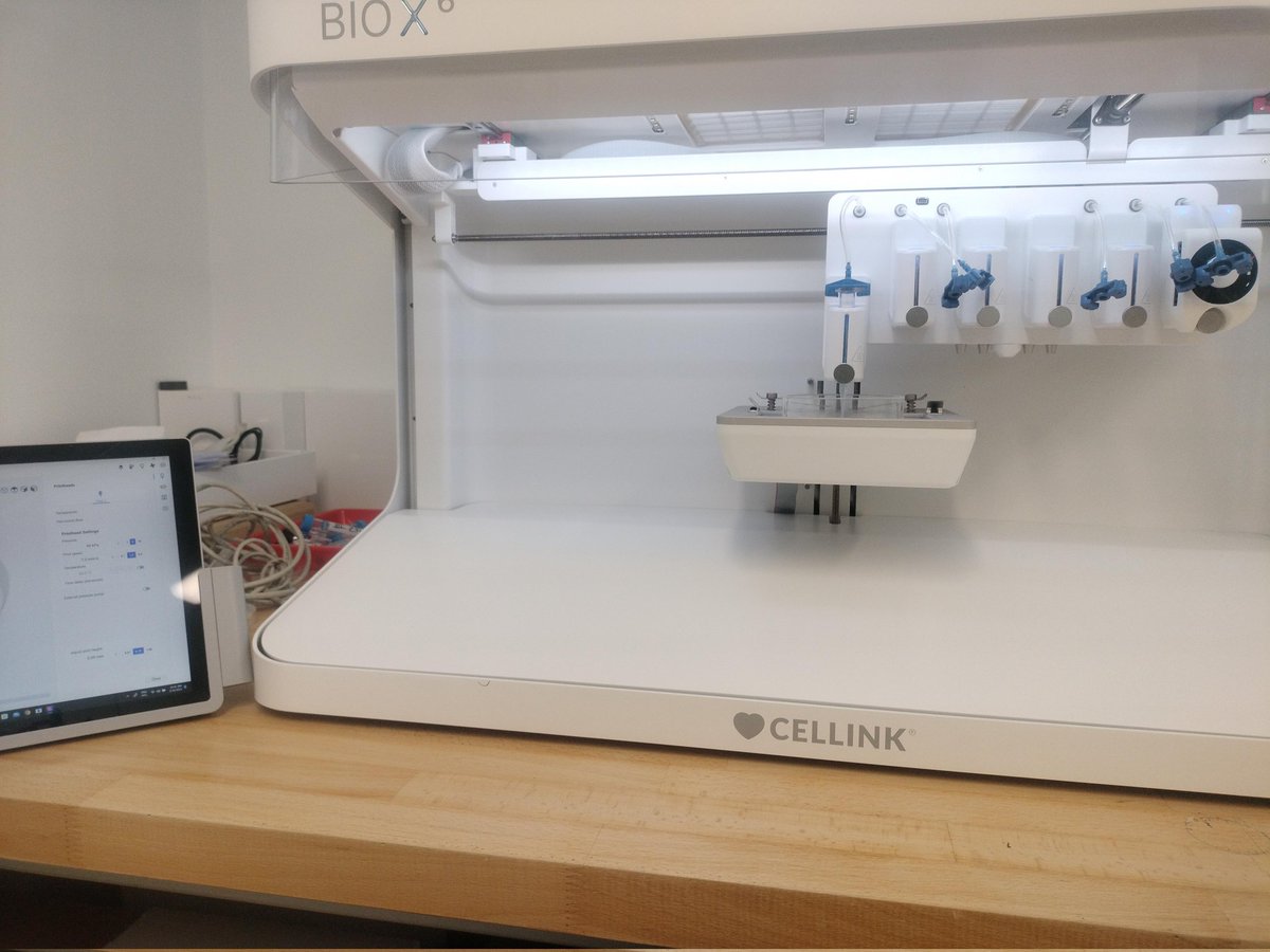 Nickelly tweet media