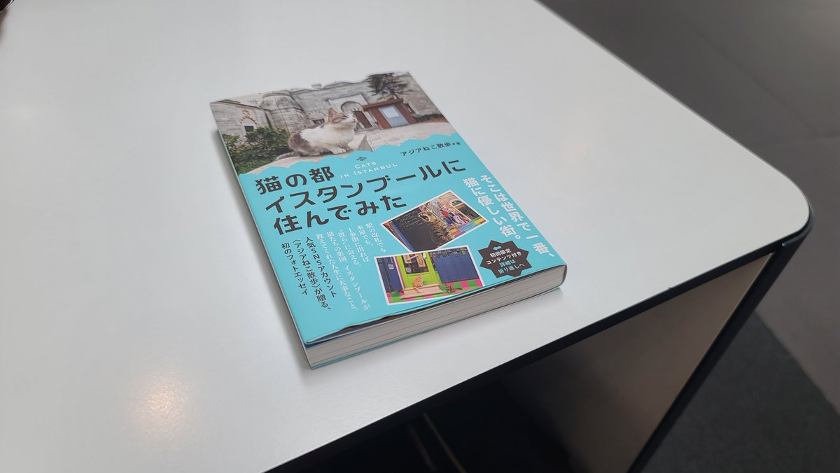 今空港です。楽しかったイスタンブールの旅も今日で終わり。待ち時間にアジア猫散歩さんの本読んでます。 本の中で出てきた猫スポットは大体行けたかな。 この本には載ってないけど超オススメ猫スポットを一つ載せます。イスタンブールで多分一番猫がいるショッピングモールです。