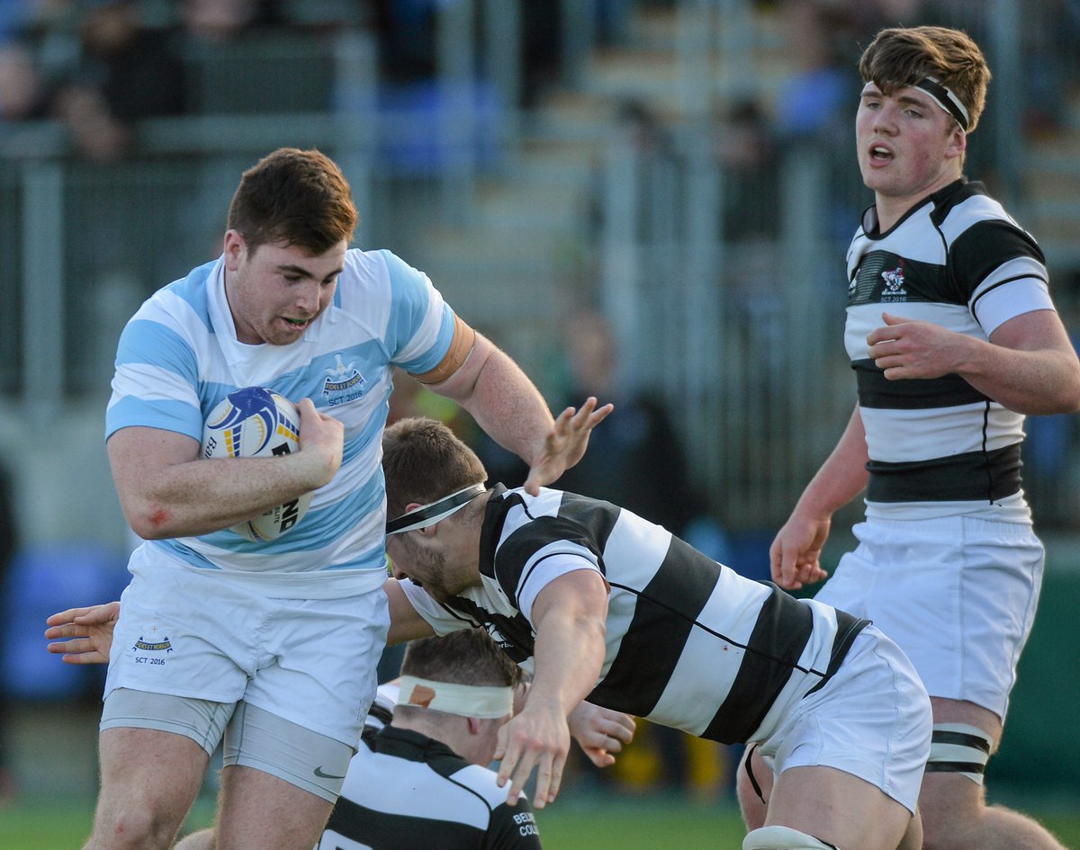 Leinster Domestic tweet media