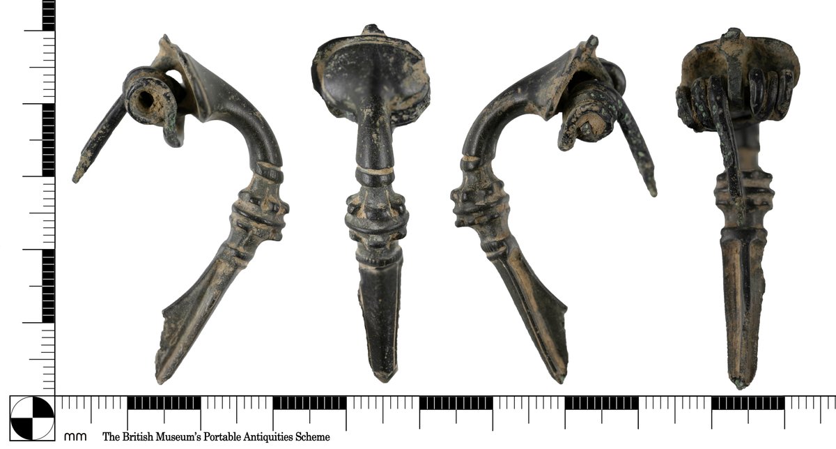 When recording Roman Trumpet brooches @findsorguk we describe their decorative mouldings as 'acanthus' style. This ⬇️⬇️⬇️ is what we mean. See the similarity in the deeply lobed leaves. Thanks to @adamarchaeology for the plant picture.