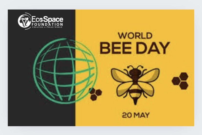 Bees are extremely essential in sustaining the plant based & eco system. On this day, we celebrate them & demand for total respect of their rights #WORLDBEEDAY #NoPlanetB #AnimalRightsMatter