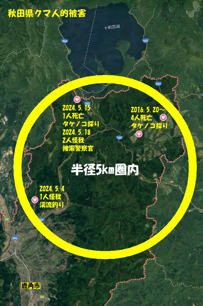 5月1日バリケード35ヶ所設置で入山禁止
なのにタケノコ採り？
8年前の4人死亡の教訓は？
タケノコ山菜取りクマ遭遇は自己責任
対策できないなら八百屋へ
報道はクマに責任転嫁せず注意喚起を
#秋田 #クマ #熊対策 #クマ出没情報確認
#山菜取り危険 #防除対策 #棲み分け #共生
youtube.com/watch?v=NQwo6b…