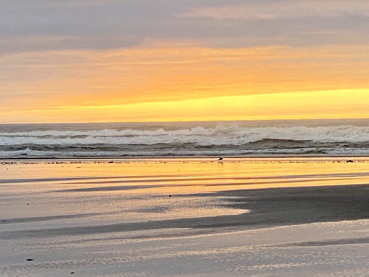 Beach week #ogunquit #maine #sunrise ⁦@JessicaGagneTV⁩ ⁦@NorahHoganWMTW⁩ ⁦@jazulay_news⁩ ⁦@Ted_WMTW⁩ ⁦@colleenhurleywx⁩ ⁦@StormHour⁩ ⁦@WMTWTV⁩