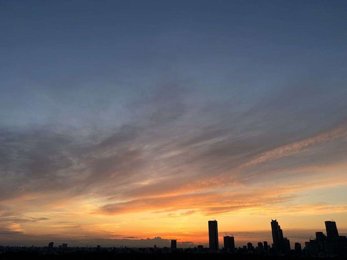 kogeusa (@kogeusako) on Twitter photo 