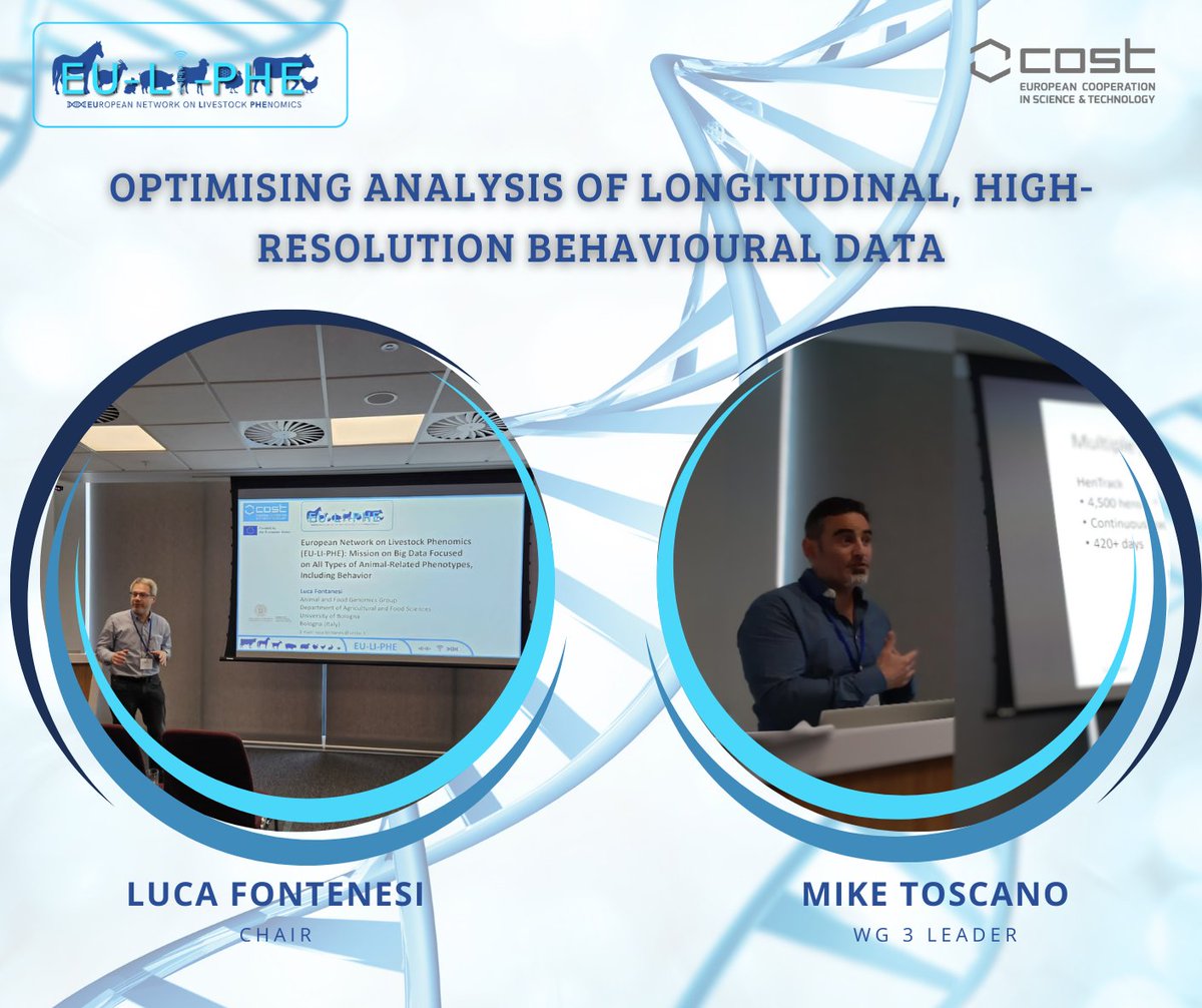 EU-LI-PHE CA22112 (@eu_li_phe) on Twitter photo 🌟 Symposium Recap: A big shout-out to Michael Toscano & <a href="/LucaFontanesi/">Luca Fontanesi</a> for leading a dynamic discussion on animal behaviour analysis at <a href="/mbconference/">Measuring Behavior</a>. #SensorTech & #BigData are changing #livestock #phenomics, improving welfare & productivity. Kudos to all! #EULIPHE 🚀🐔🔬 🌟 Symposium Recap: A big shout-out to Michael Toscano & <a href="/LucaFontanesi/">Luca Fontanesi</a> for leading a dynamic discussion on animal behaviour analysis at <a href="/mbconference/">Measuring Behavior</a>. #SensorTech & #BigData are changing #livestock #phenomics, improving welfare & productivity. Kudos to all! #EULIPHE 🚀🐔🔬
