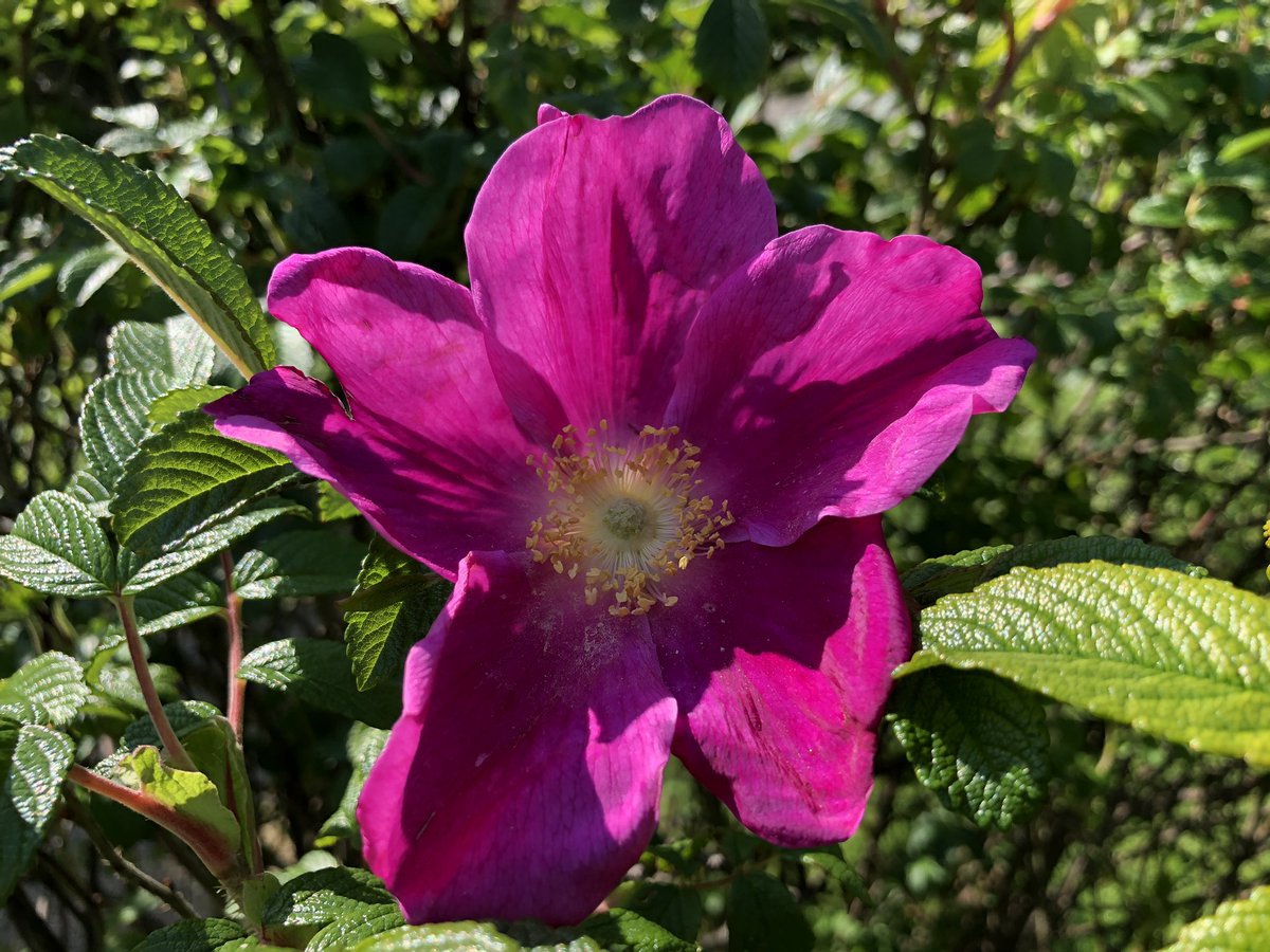 anglicanreader's tweet image. In every walk with nature one receives more than he seeks.

John Muir