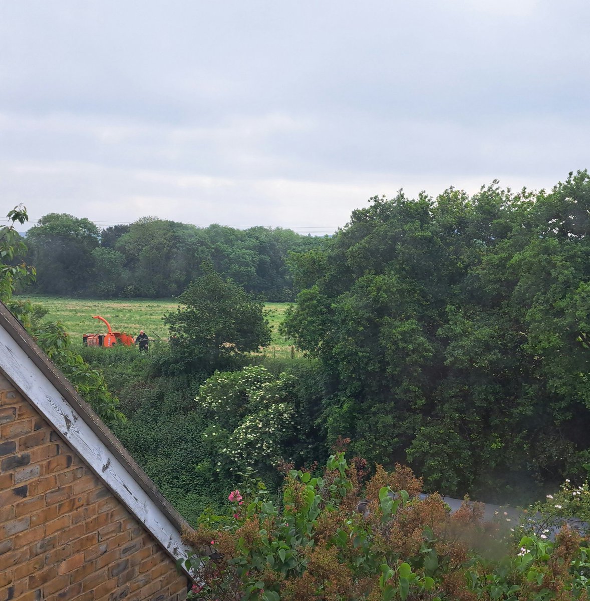 makedoandSEND's tweet photo. In those old oak trees which have scores of nesting birds in them, is a man on a cherry picker weilding a chainsaw employed by @UKPowerNetworks. This is illegal &amp; @networkrail gave permission to cut now. @KentPoliceRural have been informed as have @KentWildlife &amp; @NaturalEngland. https://t.co/aAiX7KrIGG