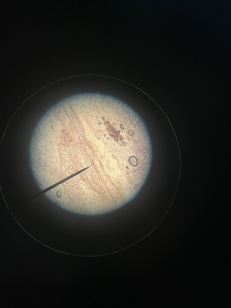 Science | Dubai British School tweet media