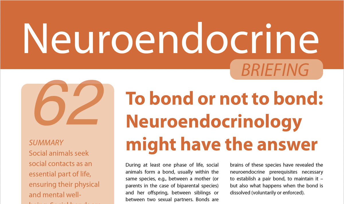 BSN (@bsneuroendo) on Twitter photo 📢 NEW quick-read Neuroendocrine Briefing alert!
To bond ❤️ or not to bond💔: Neuroendocrinology might have the answer
Author <a href="/OliBosch/">Oliver Bosch</a>
Editor <a href="/DrPaulaBrunton/">Paula Brunton 🏴</a>
Read more: neuroendo.org.uk/briefings.php 📢 NEW quick-read Neuroendocrine Briefing alert!
To bond ❤️ or not to bond💔: Neuroendocrinology might have the answer
Author <a href="/OliBosch/">Oliver Bosch</a>
Editor <a href="/DrPaulaBrunton/">Paula Brunton 🏴</a>
Read more: neuroendo.org.uk/briefings.php