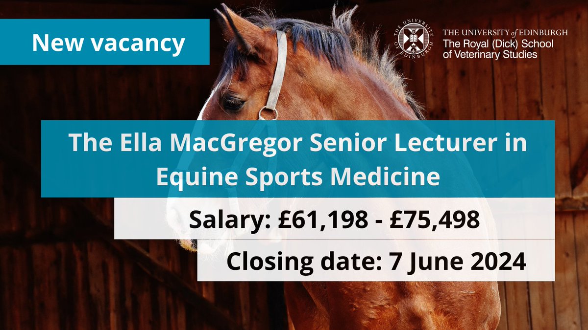 JOB: We are looking for an equine clinician to join our team &amp; take a leading role in the provision and development of the sports medicine service for our Equine Hospital &amp; Practice.   

£61,198 - £75,498 + market pay supplement
More info: edin.ac/3Iutp15.
Apply by 7 June