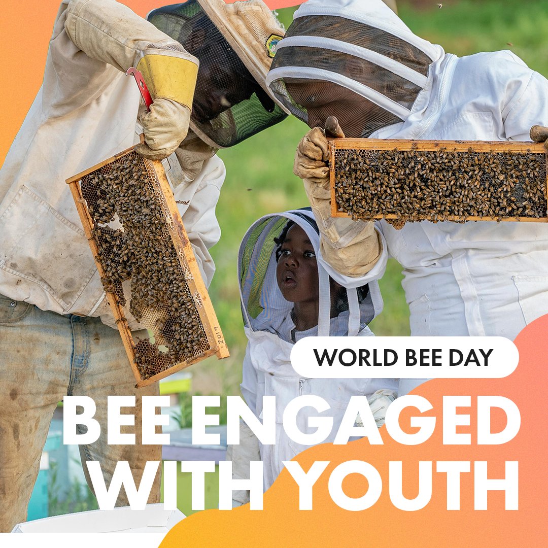 🐝 Happy World Bee Day! We are celebrating the 2024 World Bee Day under the theme 'Bee Engaged with Youth,' highlighting the vital role young people play in beekeeping and pollinator conservation.

#WorldFoodForum #GoodFoodForAll #WorldBeeDay #SavetheBees