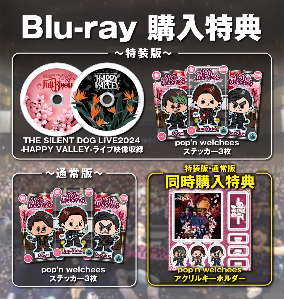 THE SILENT DOG RARE TRACK 1 コヤッキー コヤミナティ ペット用品 THE