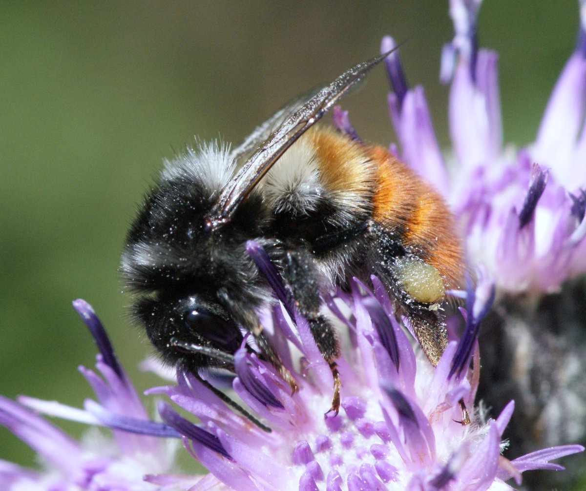 Paul Williams tweet media