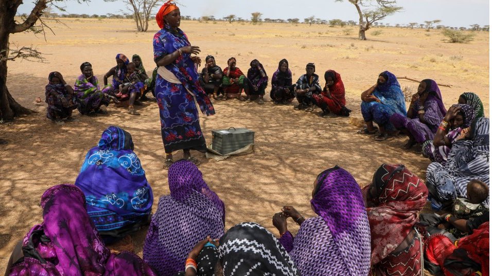 I really want to take this time to @MercyNawiri who gave them business grants worth $370. 
The businesses have grown with values of $457 in Samburu, $472 in Turkana, and $484 in Marsabit
Linkto check; shorturl.at/OGovo

 #GraduationImpact 
 @ResilienceLear2 @FeedtheFuture