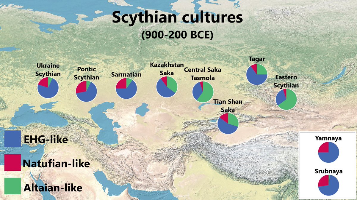 Admixture of Scythian Indo-Iranic speaking cultures (900-200 BCE)

EHG = 75% Ancient North Eurasian + 25% Western Hunter Gatherer (closest in admixture to modern Northern Sámi)

Altaians: Siberian Turkic people

Natufian: Neolithic Levant (100% West Eurasian ancestry)