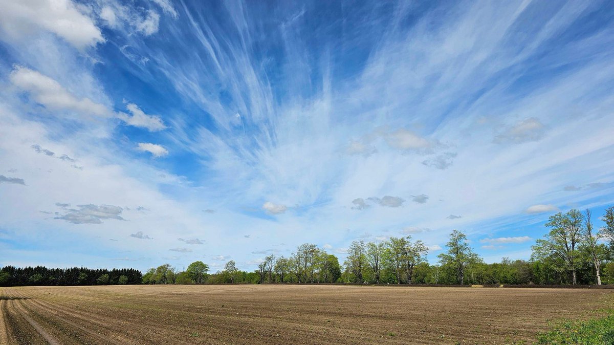 Hoping your week ahead is as glorious as this sky! #LongWeekendVibes #FarmLife