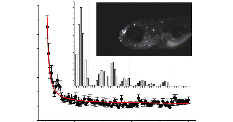 Researchers led by @MartinGrosell at @MiamiRosenstiel show that crude oil exposure can affect sensory function impacting the startle response in larval zebrafish. 

Read this ACS ES&T Water article: go.acs.org/9po