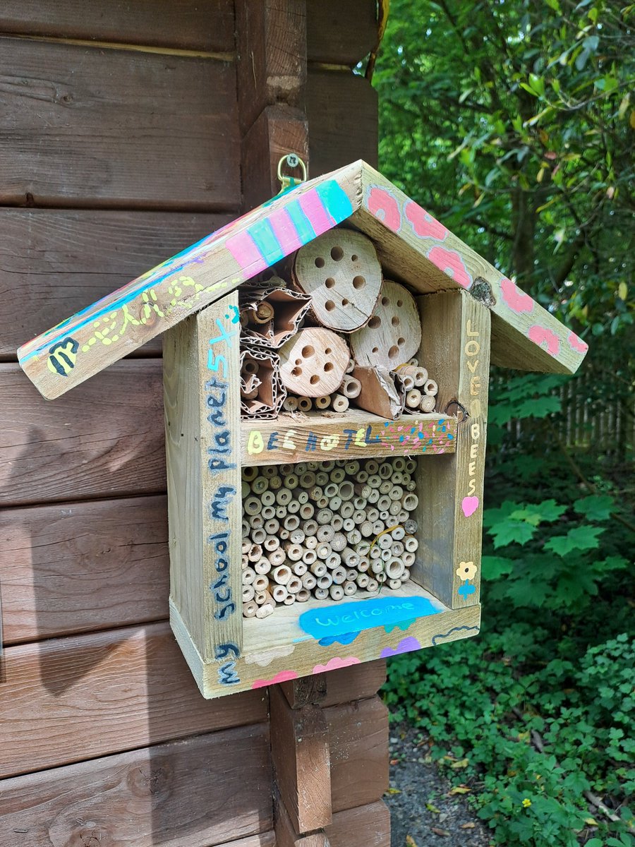 It's #WorldBeeDay! 🐝 After an amazing workshop on bees with @B4Biodiversity, some of the pupils involved with My School, My Planet North West have been making bee hotels to create more nesting habitats for solitary bees in their school grounds!