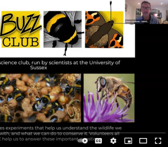 Last week, we took part in our first ever online Symposium - thanks to @KeironDBrown for having us! In celebration, we are releasing @DaveGoulson introductory talk on the Buzz Club! All other talks from this event can be accessed by ticket holders only youtube.com/watch?v=ven7zK…