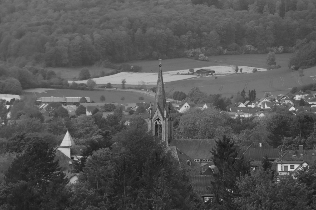 #photo #photography #blackandwhite #landscape #nature #monochrome #landscapephotography #trees #blackandwhitephotography #town