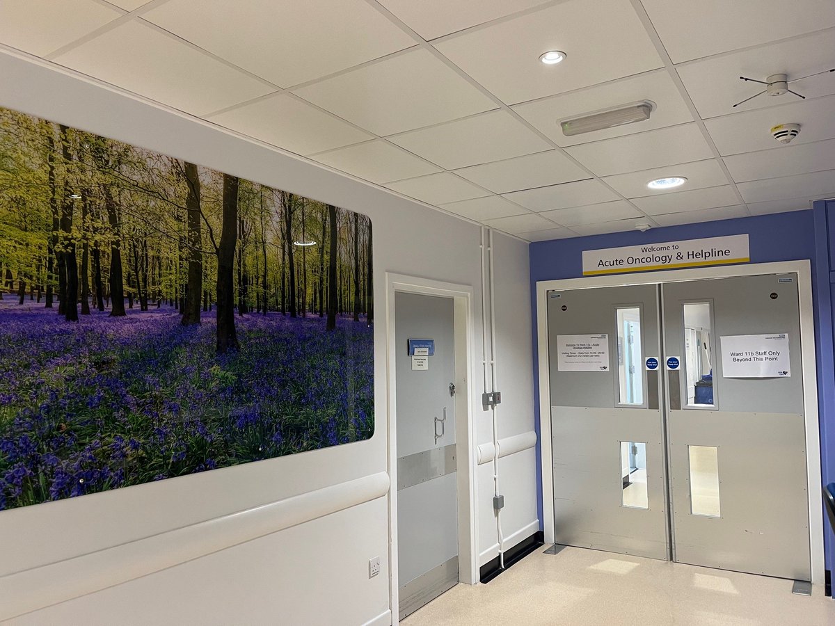 WYAAT Hospitals (@wyaat_hospitals) on Twitter photo A new inpatient ward for <a href="/CHFTNHS/">Calderdale and Huddersfield NHS Foundation Trust</a> and <a href="/MidYorkshireNHS/">Mid Yorkshire Teaching NHS Trust</a> patients requiring non-surgical oncology treatment has opened at Huddersfield Royal Infirmary.
A great example of partnership working, with staff from both trusts working together to provide a more joined-up service.
#WYAAT A new inpatient ward for <a href="/CHFTNHS/">Calderdale and Huddersfield NHS Foundation Trust</a> and <a href="/MidYorkshireNHS/">Mid Yorkshire Teaching NHS Trust</a> patients requiring non-surgical oncology treatment has opened at Huddersfield Royal Infirmary.
A great example of partnership working, with staff from both trusts working together to provide a more joined-up service.
#WYAAT