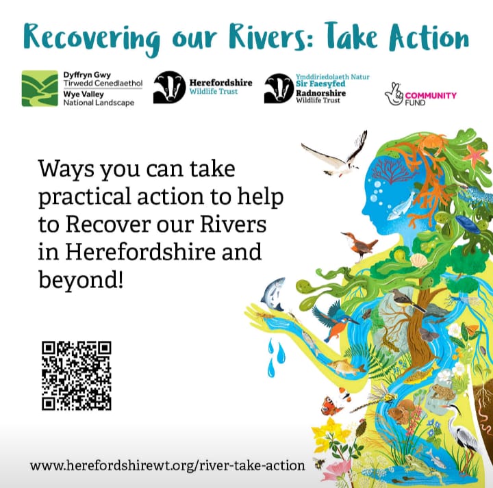 💧 As part of the Big River Watch weekend our WACC officers have launched the Rivers Toolkit to support communities to get involved with restoring and monitoring our rivers. We undertook our own survey at Gilfach, can you identify what we found?  @herefordshirewildlifetrust