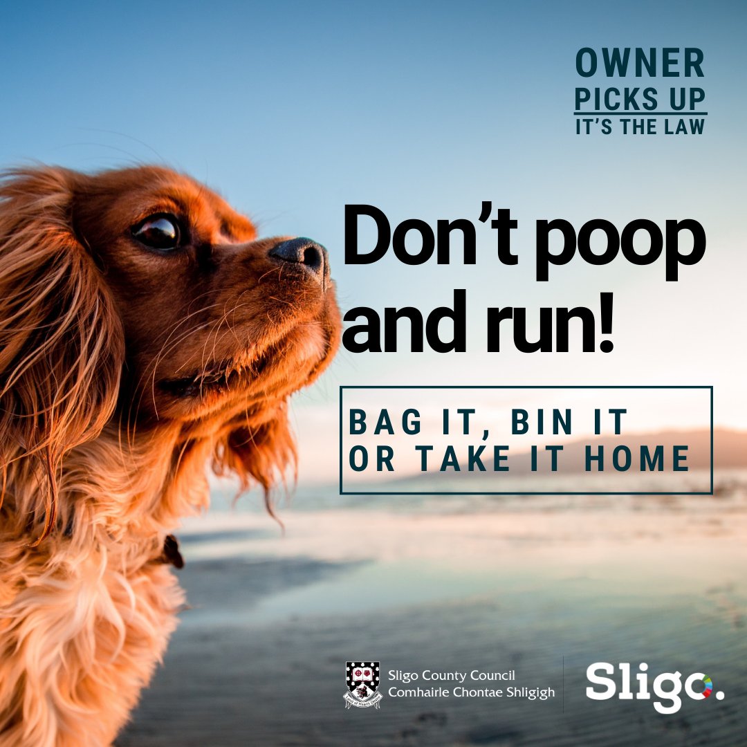 Don’t poop and run, because no one likes a sneaky leave-behind. Be responsible and always pick up after your dog; bag it, bin it, or take it home. Let’s keep our streets, parks, and natural areas clean for everyone. #CleanUp #ResponsiblePetOwnership